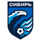 FK Novosibirsk