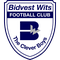 Bidvest Wits U17