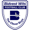 Bidvest Wits Sub 17