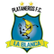 Escudo Plataneros