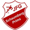 JFG Schaumberg U17