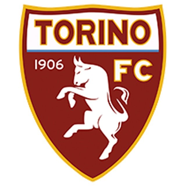 Torino Sub 15
