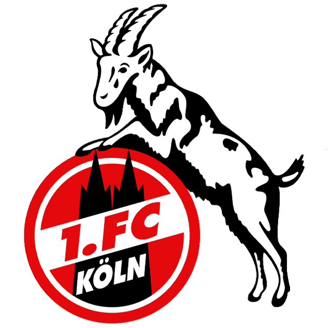 VfL Bochum Sub 15