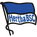 Hertha BSC Sub 15