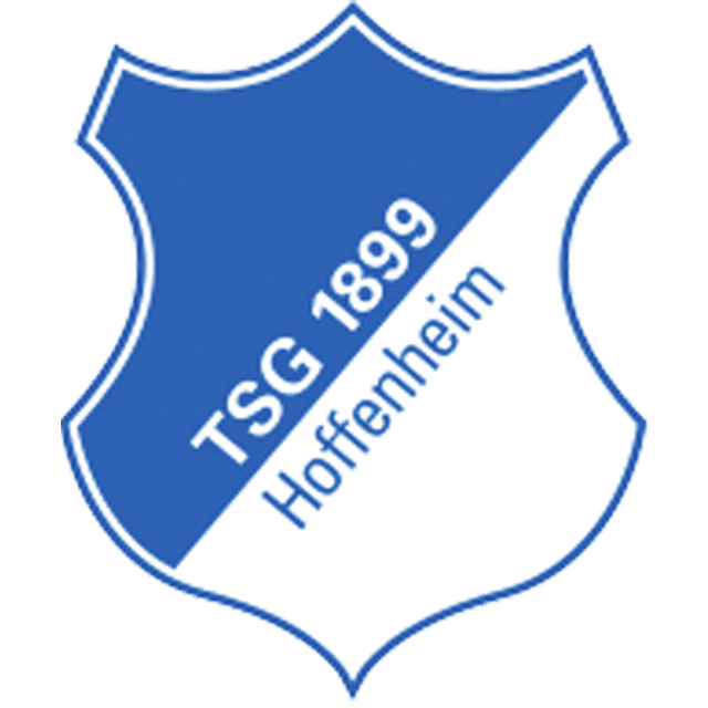 Hoffenheim Sub 15
