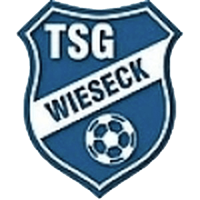 TSG Wieseck Sub 15