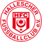 Hallescher FC II Sub 17