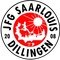 Saarlouis/Dillingen Sub 17