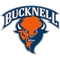 Bucknell Bison