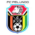 FC Pelundo