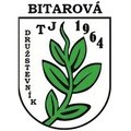 TJ Družstevník Bitarová