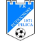 Buducnost Pilica