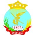 Escudo del Stăuceni