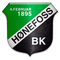 Hønefoss U19