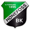 Escudo Hønefoss Sub 19