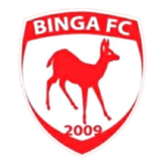 Binga