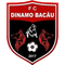 Dinamo Bacau