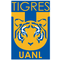 Tigres UANL U19