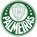 Palmeiras FC Sub 15