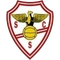 Escudo SC Salgueiros Sub 15