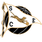 Espinho U15