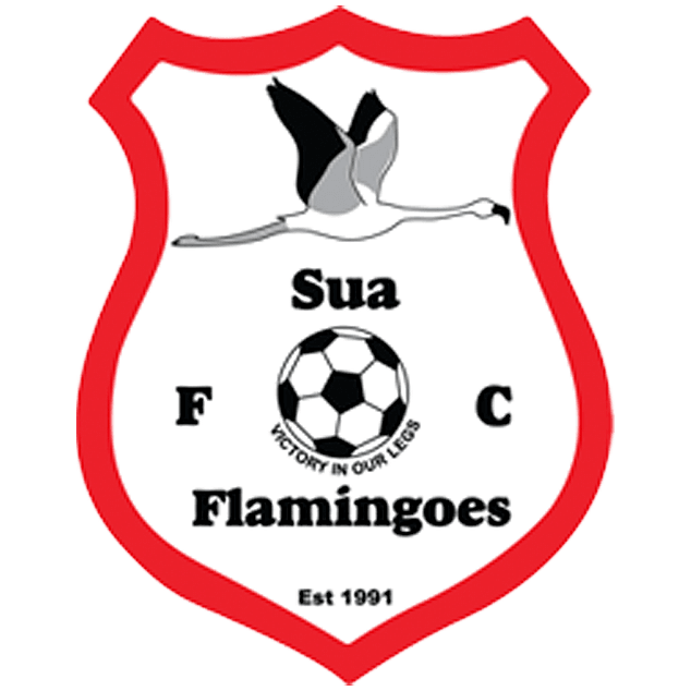 Sua Flamingoes