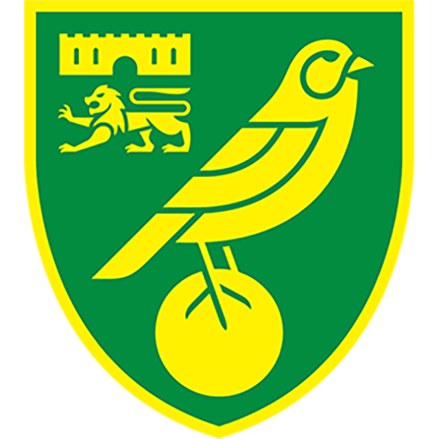 Norwich City Academy