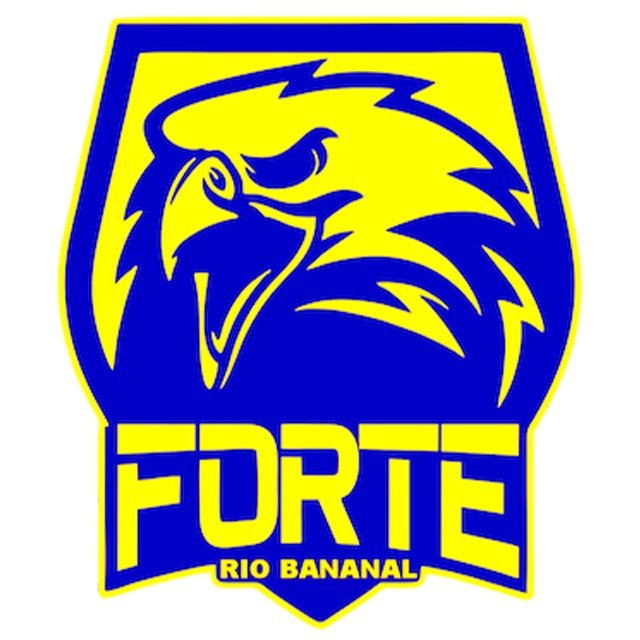 Forte FC U20