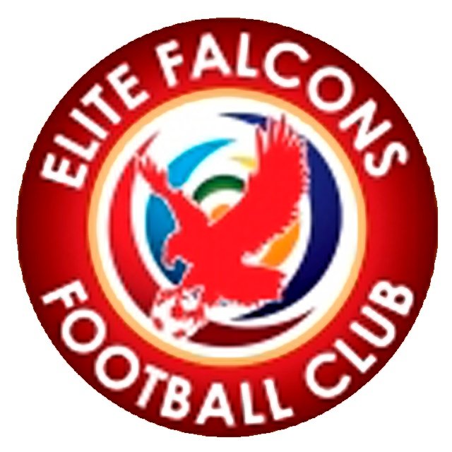 Elite Falcons