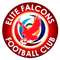 Escudo Elite Falcons