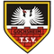 Escudo TSV Gochsheim