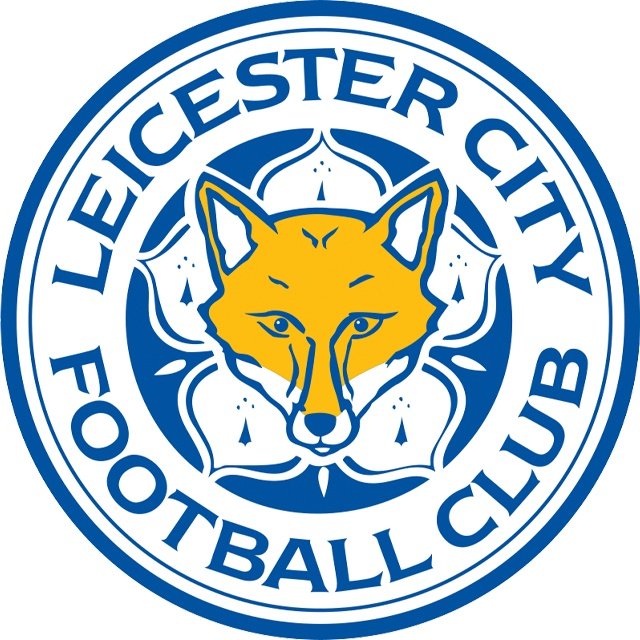 Leicester Sub 17