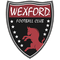 Wexford U19