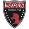 Wexford Sub 19