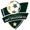 Al Masry Salloum