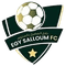 Masry Salloum