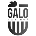 Galo Maringá