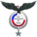 Escudo del Tricolor de Paine