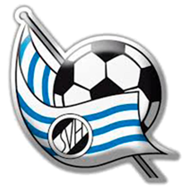  SV Hallstadt Academy