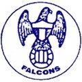 Toronto Falcons