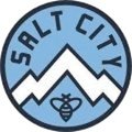 Salt City