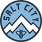 Salt City
