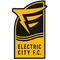 Escudo Electric City