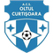 Oltul Curtişoara