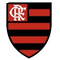 Flamengo Sub 15