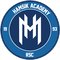 Hamsik Academy