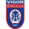 Vigor Senigallia