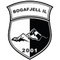 Bogafjell U19