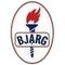 Bjarg Sub 19