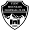 Flint Mountain